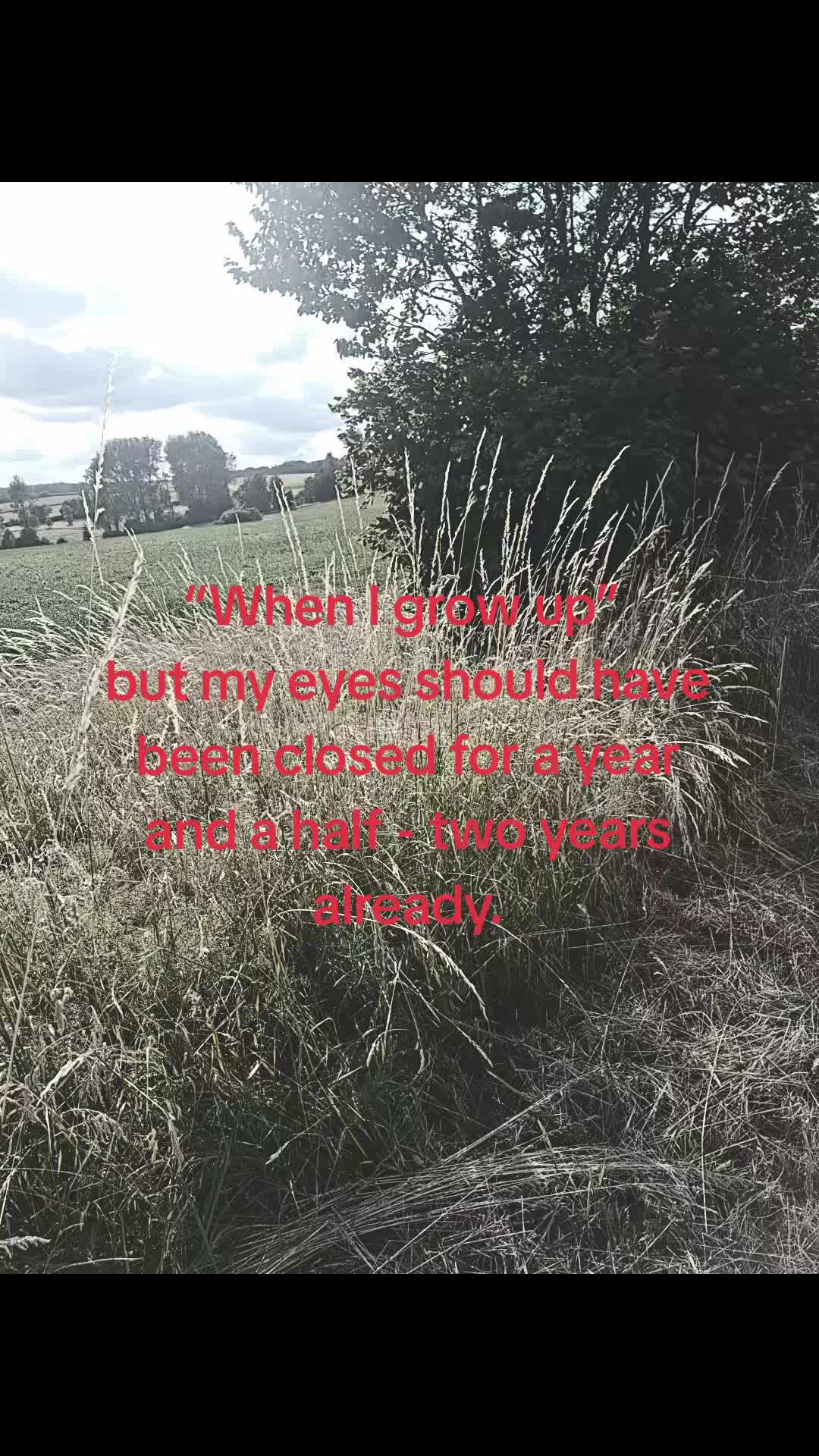 @⭐🪽