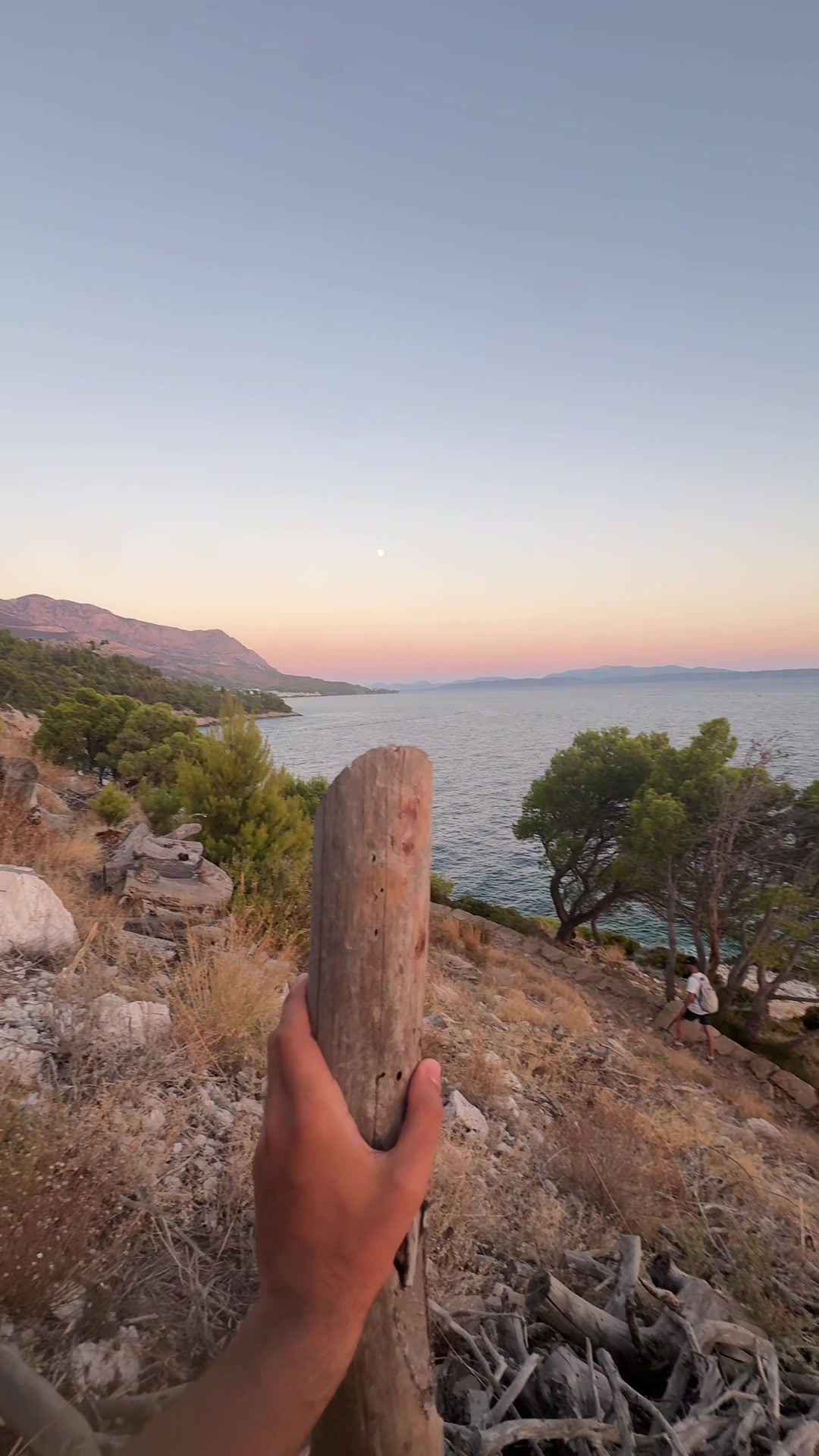 @seeror