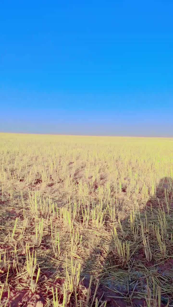 @علي الخالد