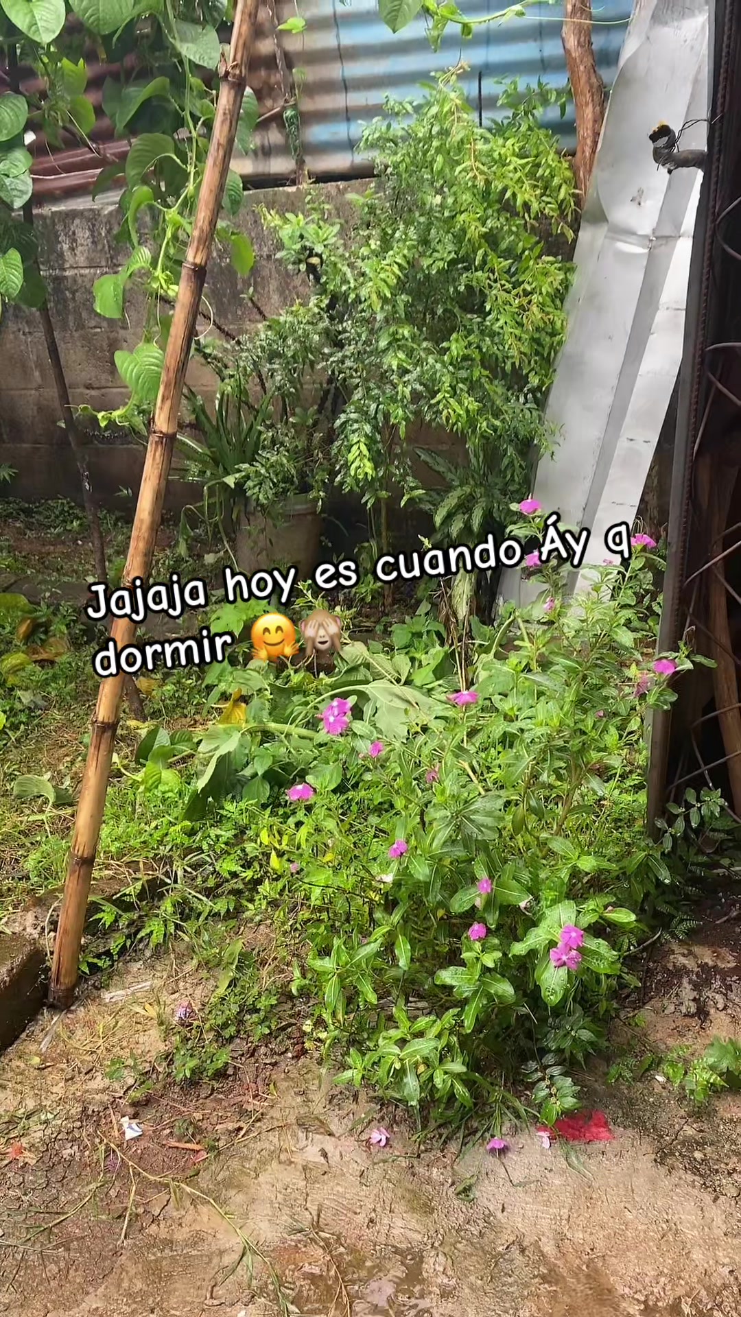 @elena🍒😌