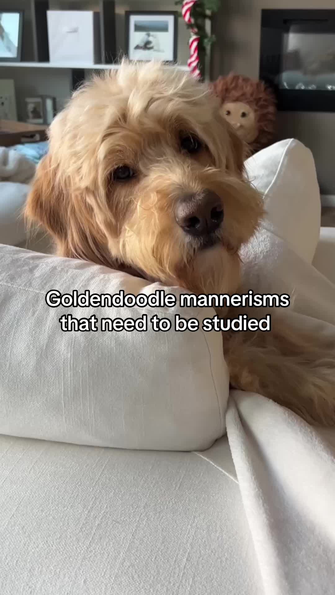 @Me, my Doods and I