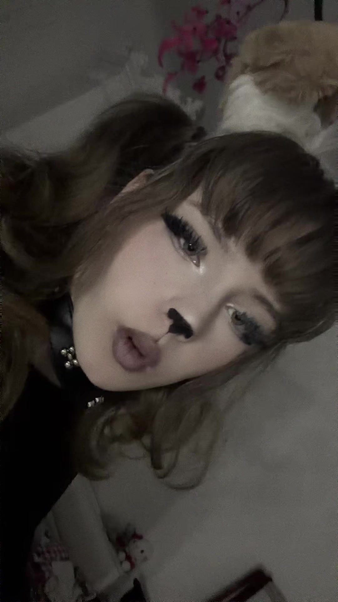 @kemonomimiheaven
