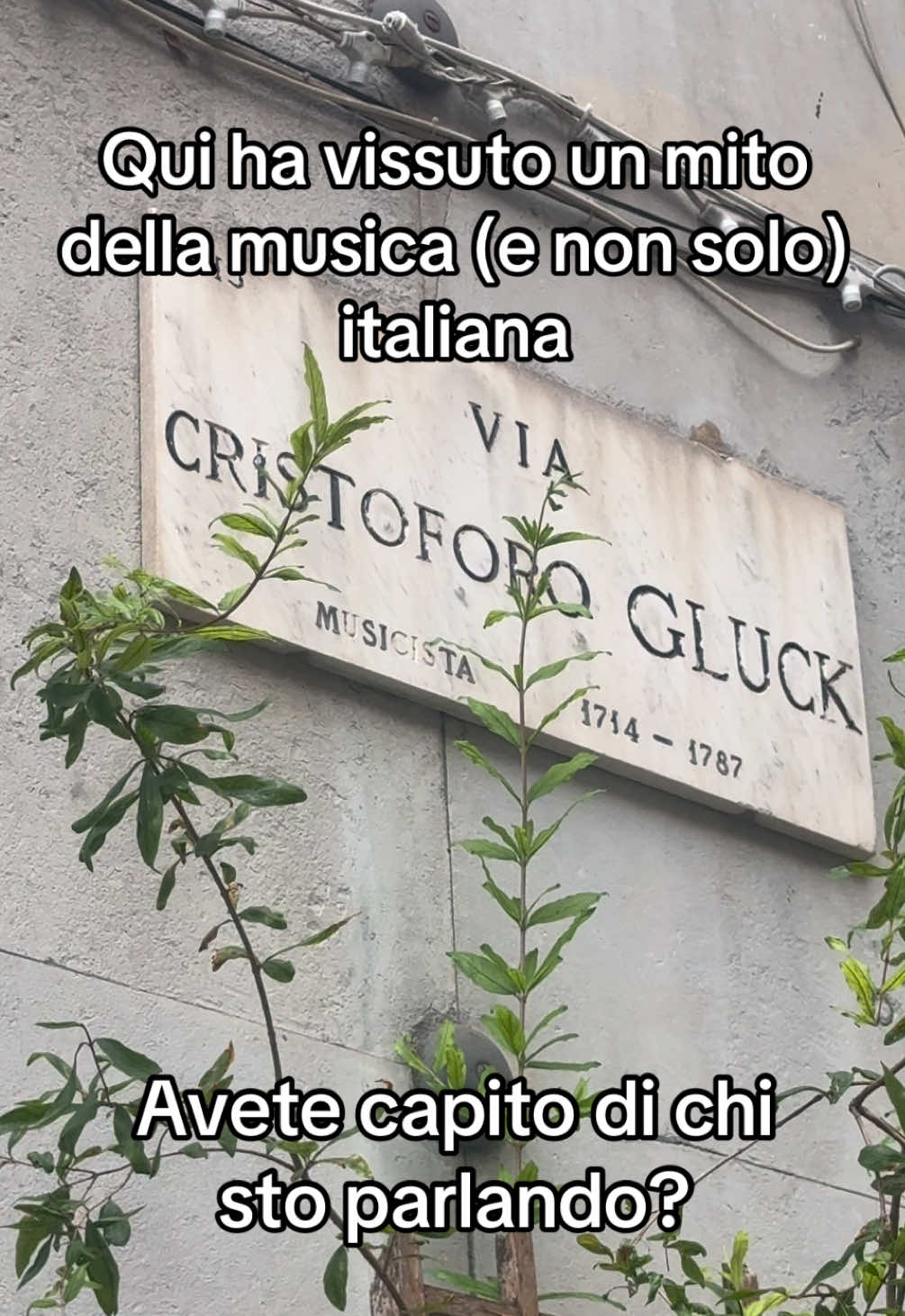 @Lorenzo