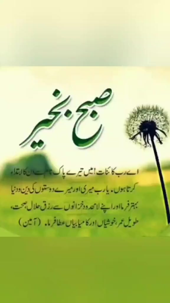 @Abdullah