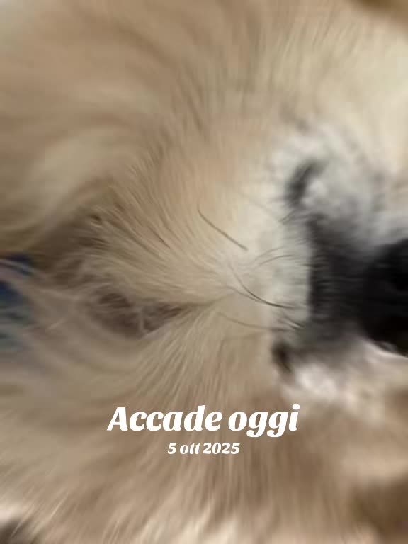 @annarella1974.bella