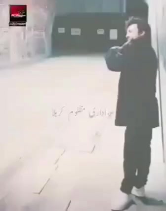 @Alinaqvi110🦅