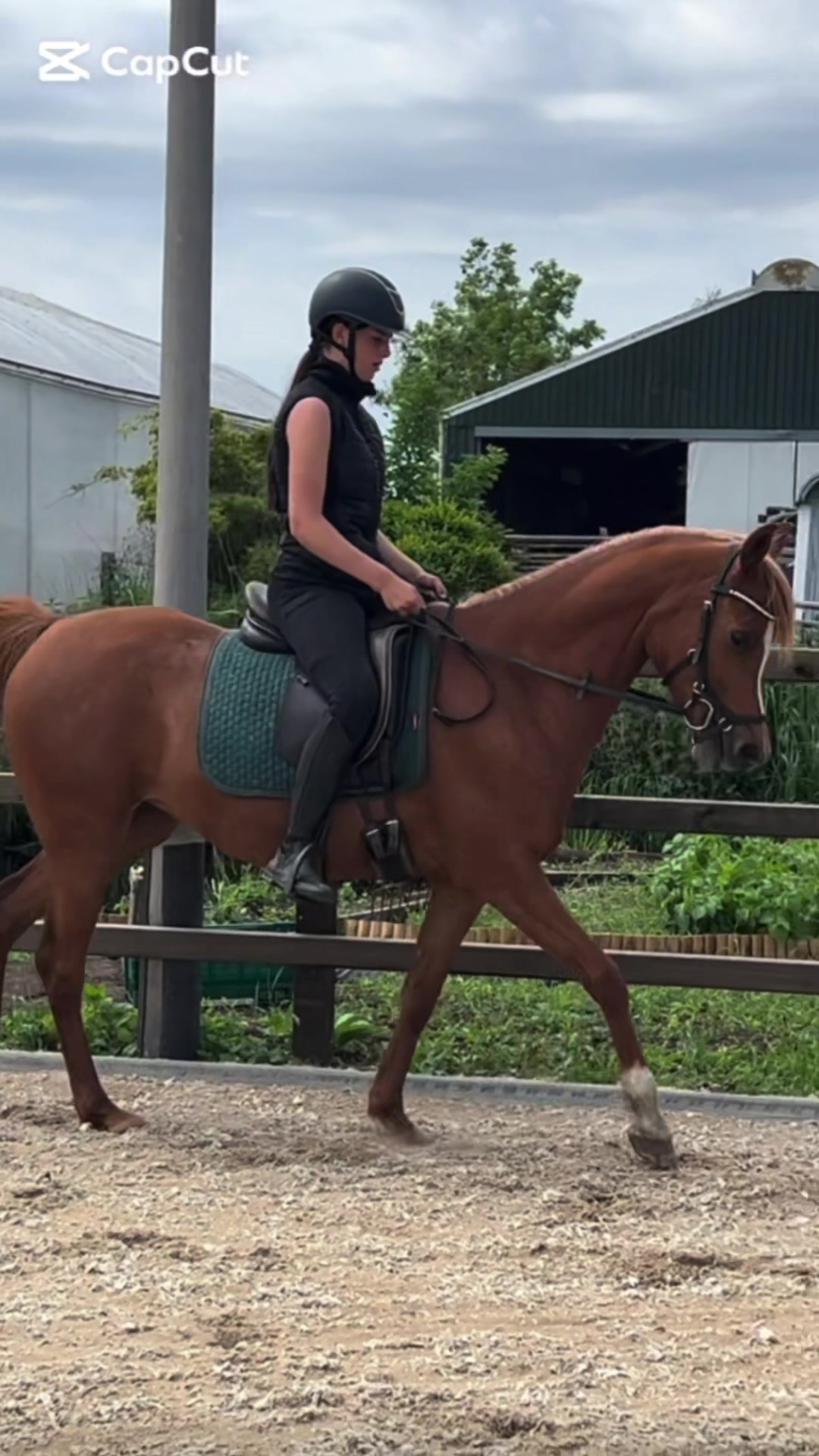 @🇳🇱 yara’s horselife 🇳🇱