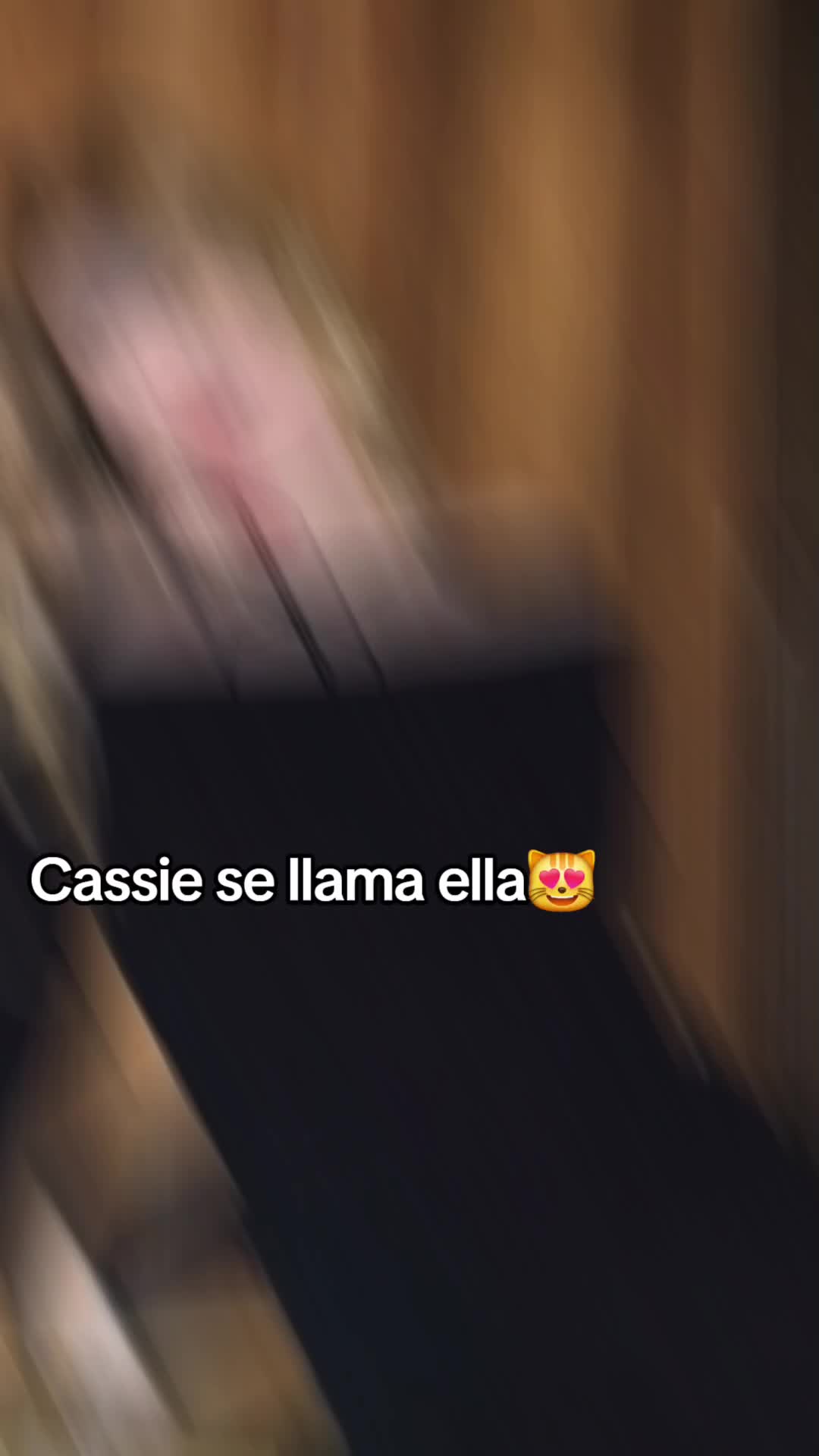 @"𝘊𝘳𝘢𝘻𝘺 𝘊𝘢𝘴𝘢🤩"