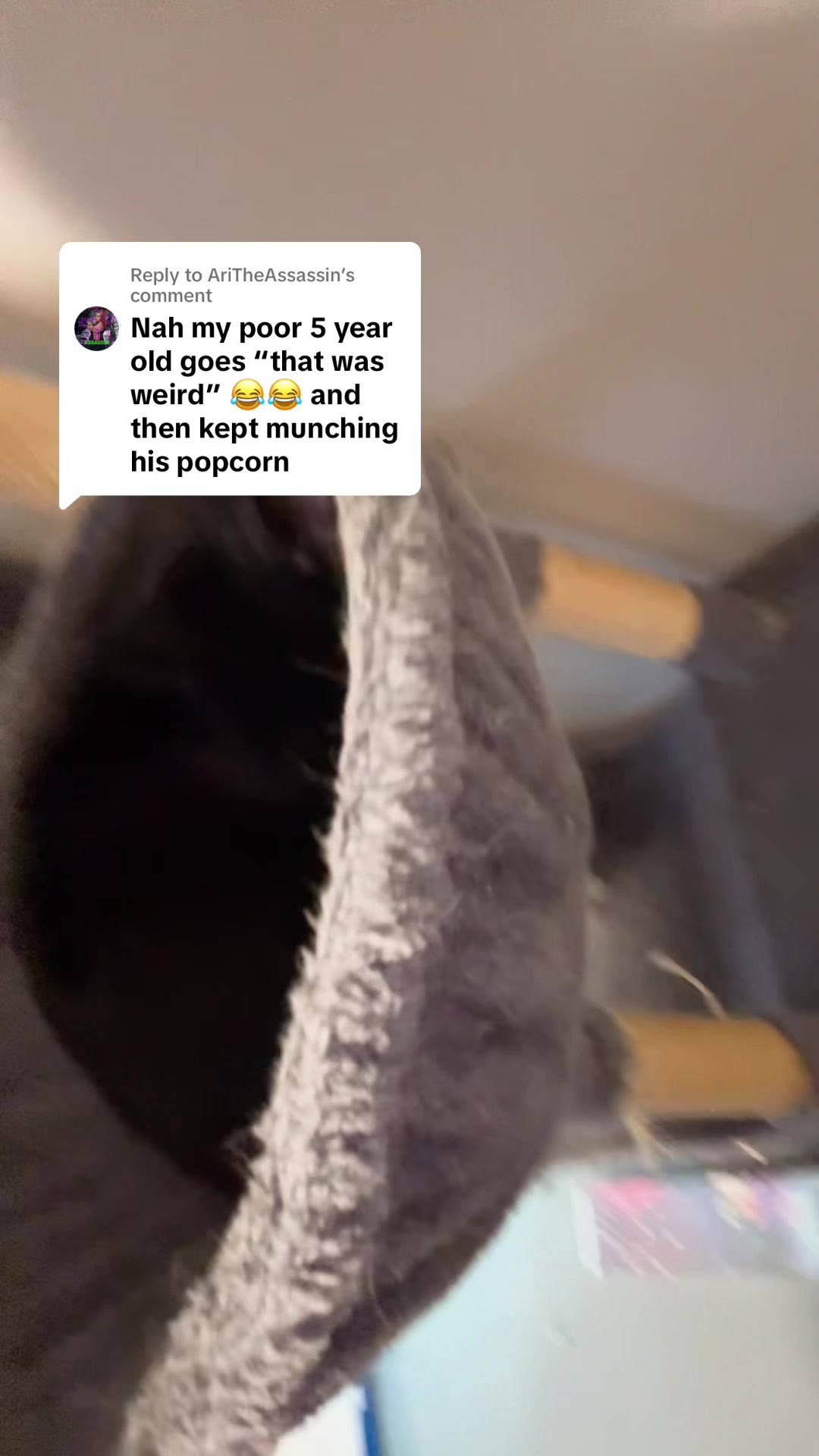 @AriTheAssassin