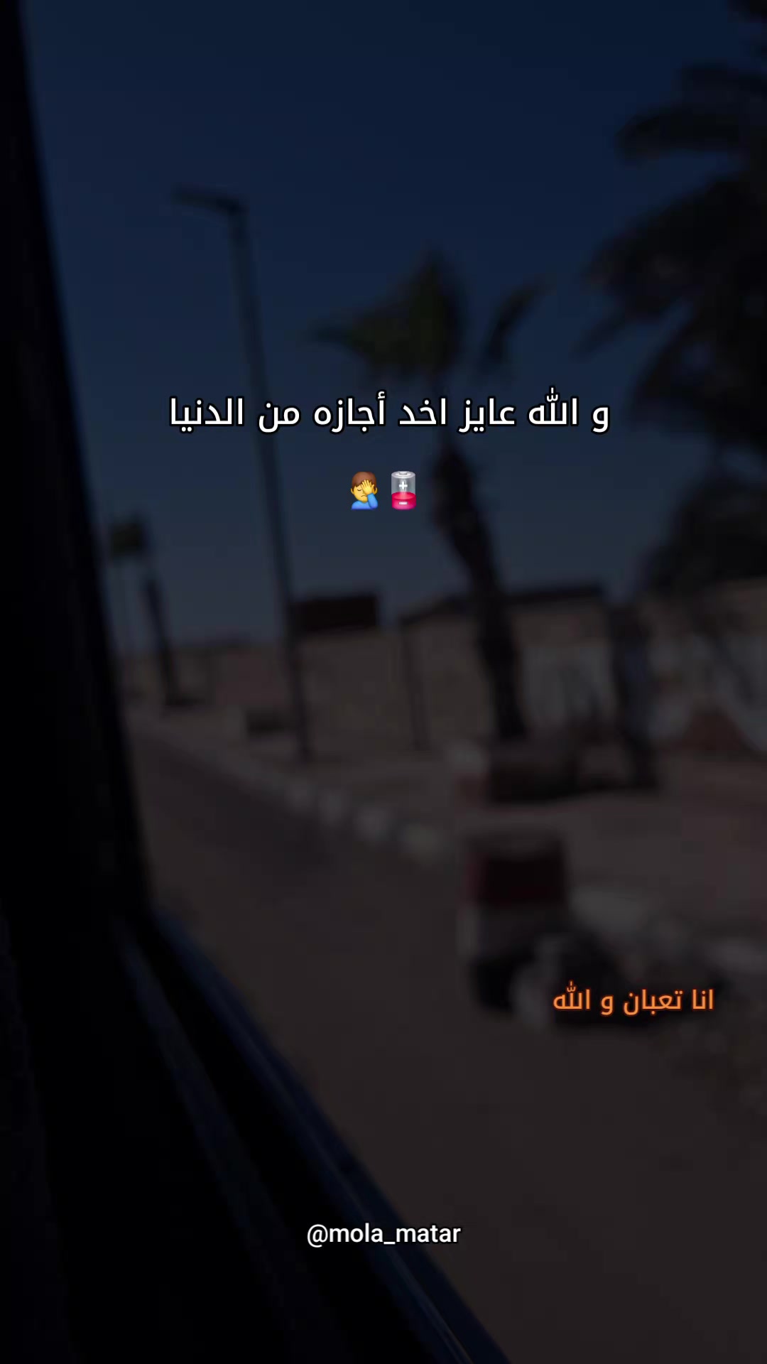 @MolaMatar