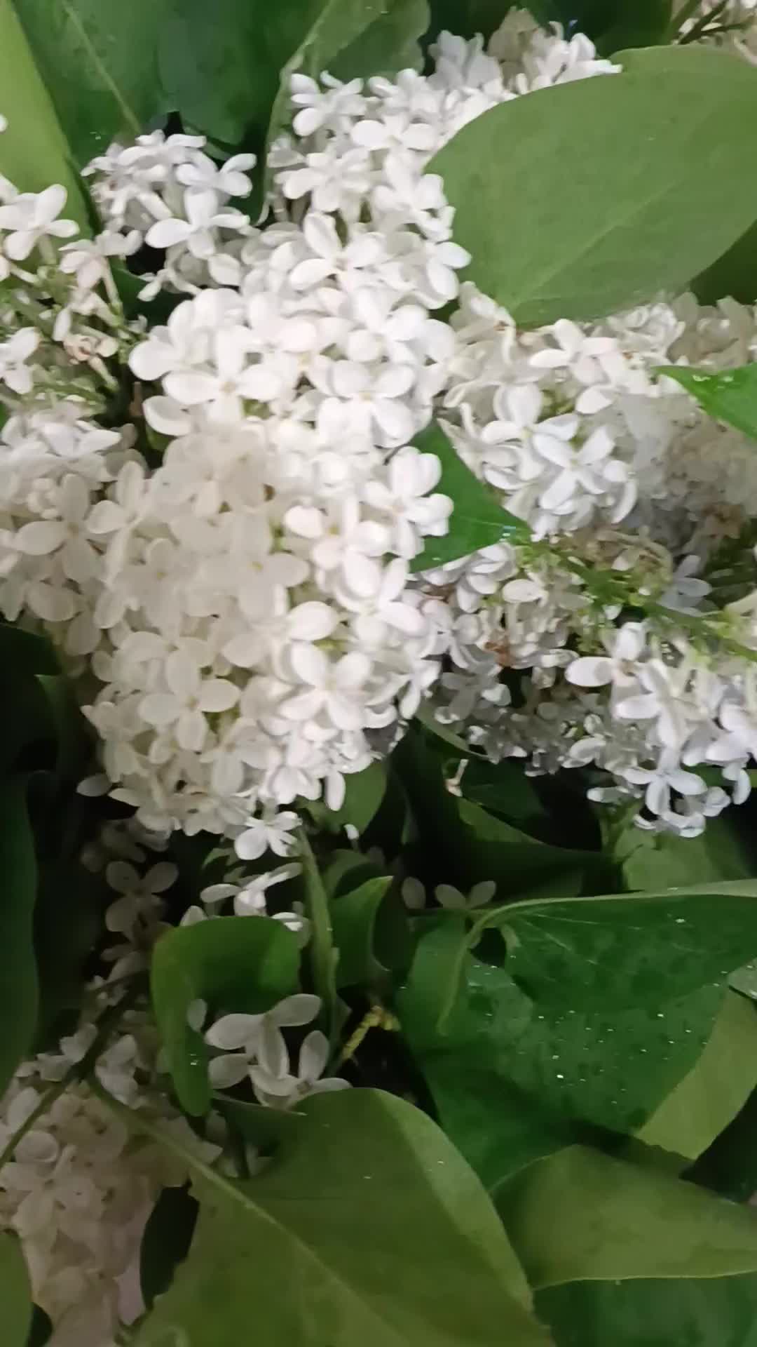 @Яна/готування як хоббі )