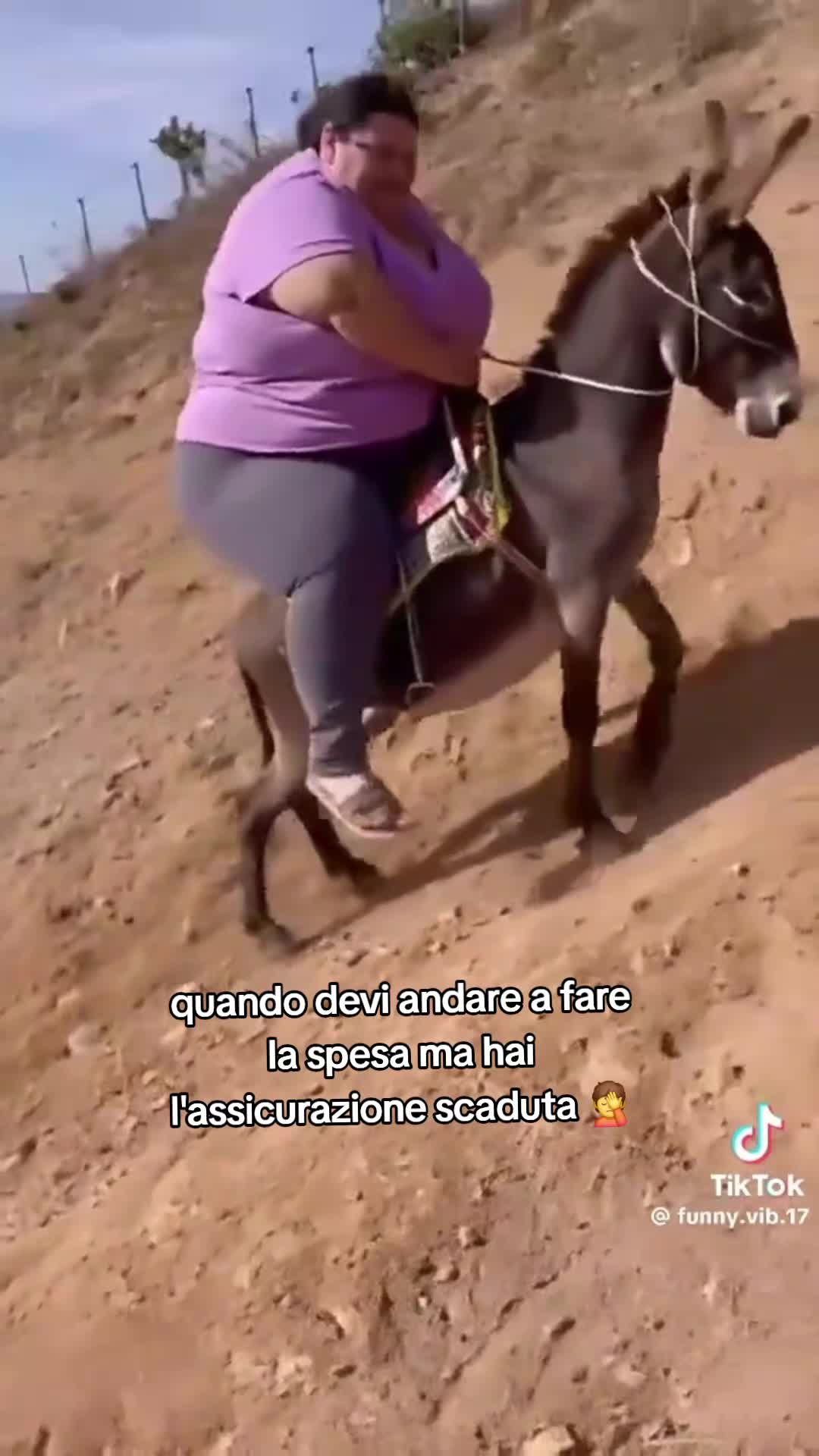 @carminecoppola3_