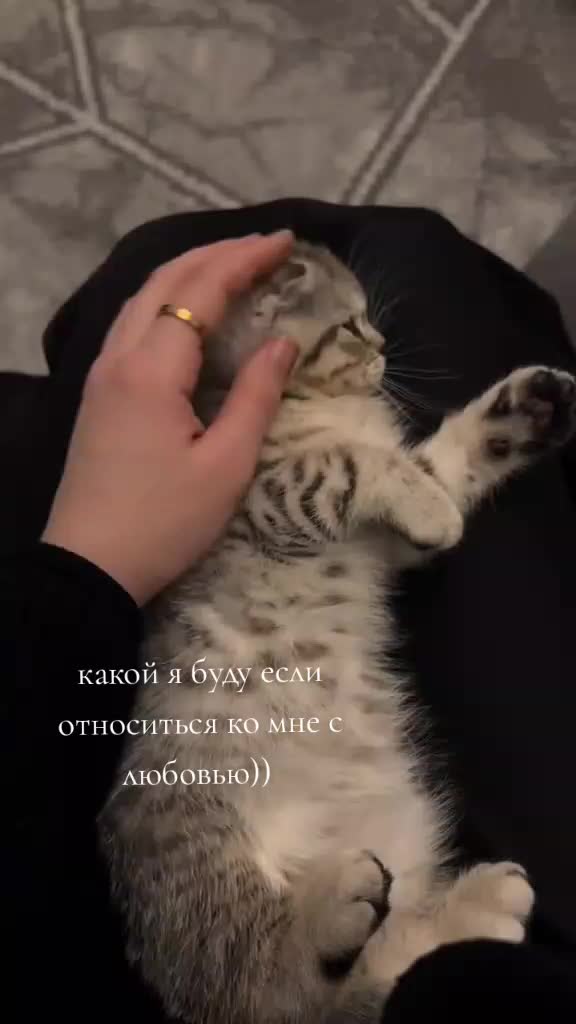 @Ореана💋