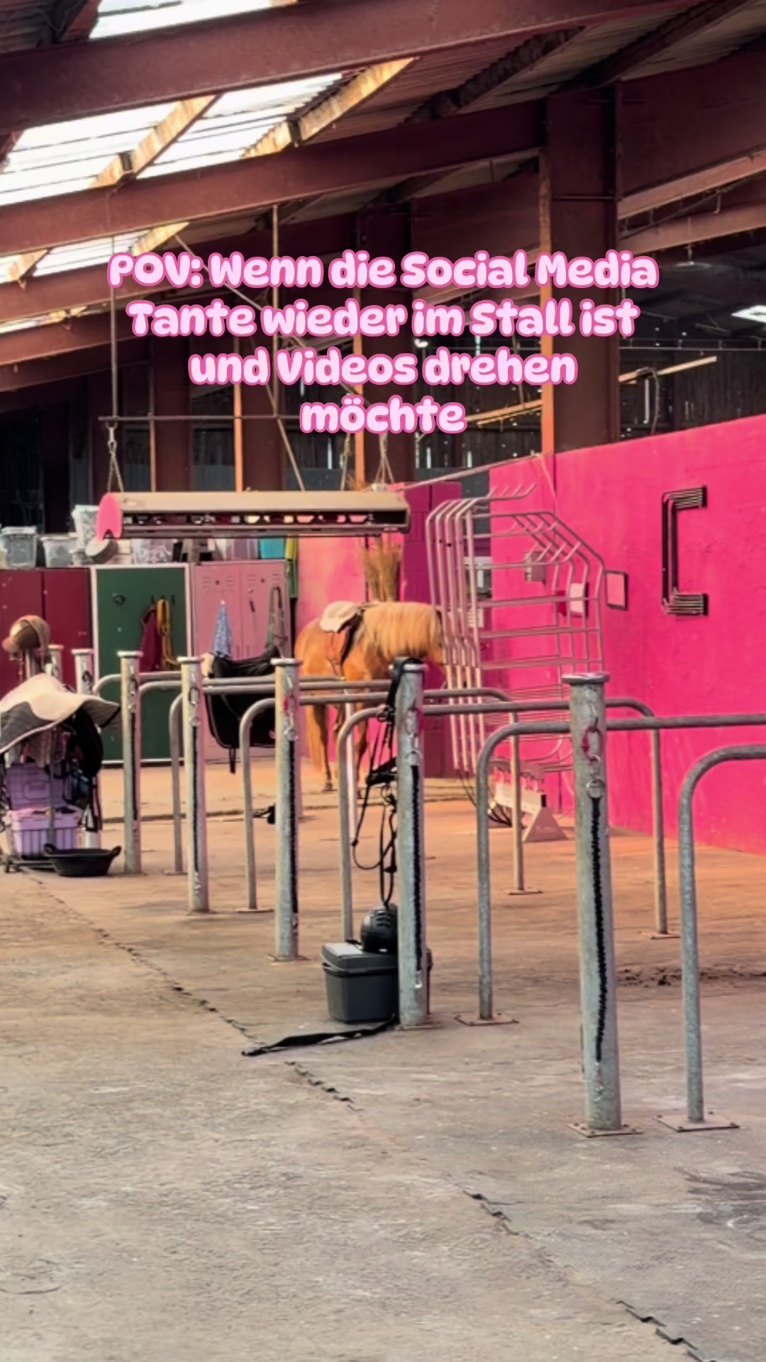 @Enja und die Pferde