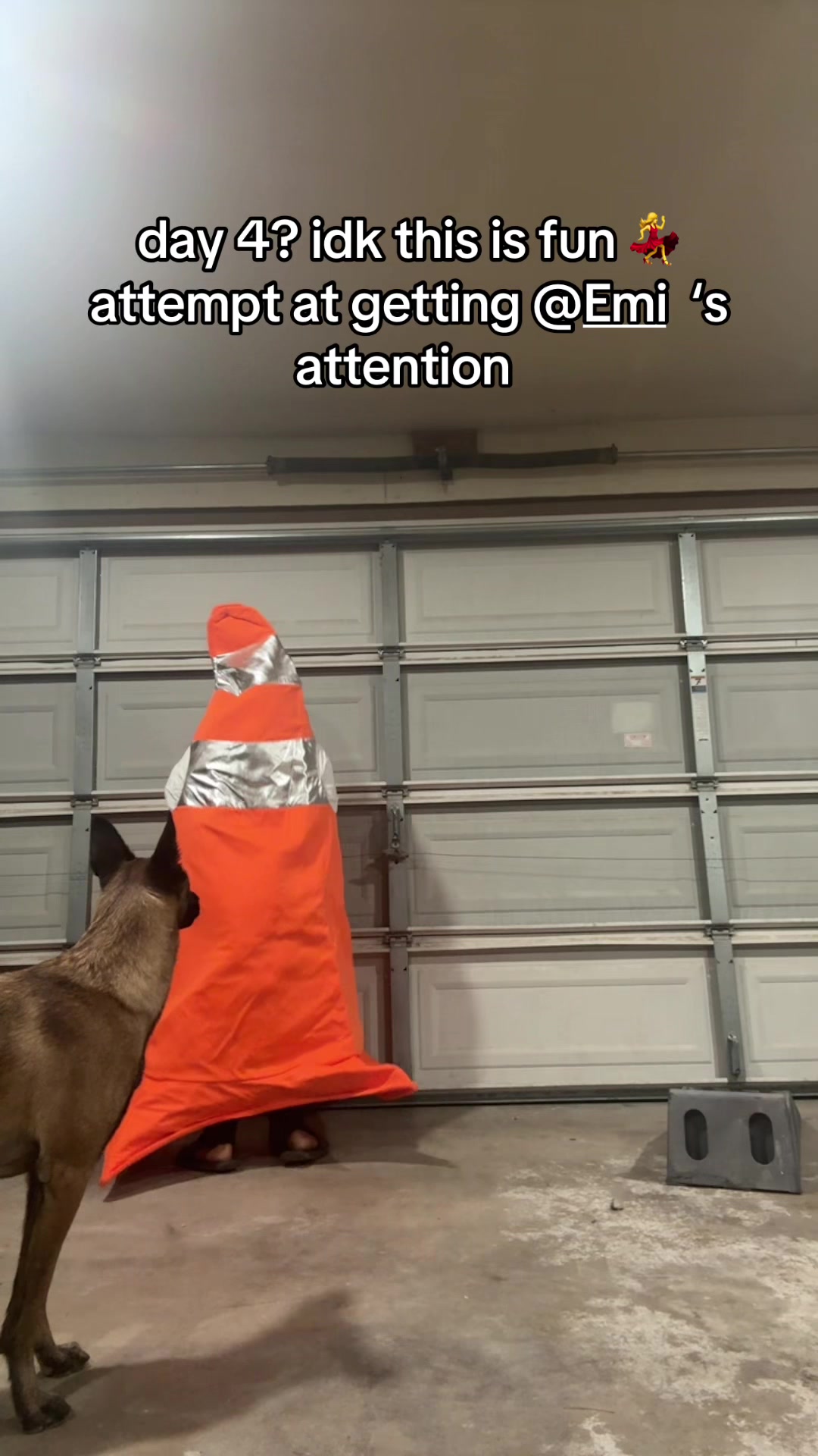 @alexa