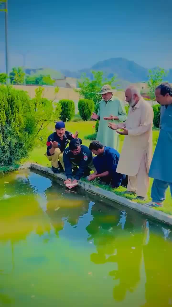 @Naikamalshah