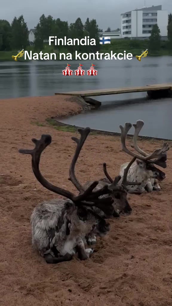 @🎺 NATAN 🎺