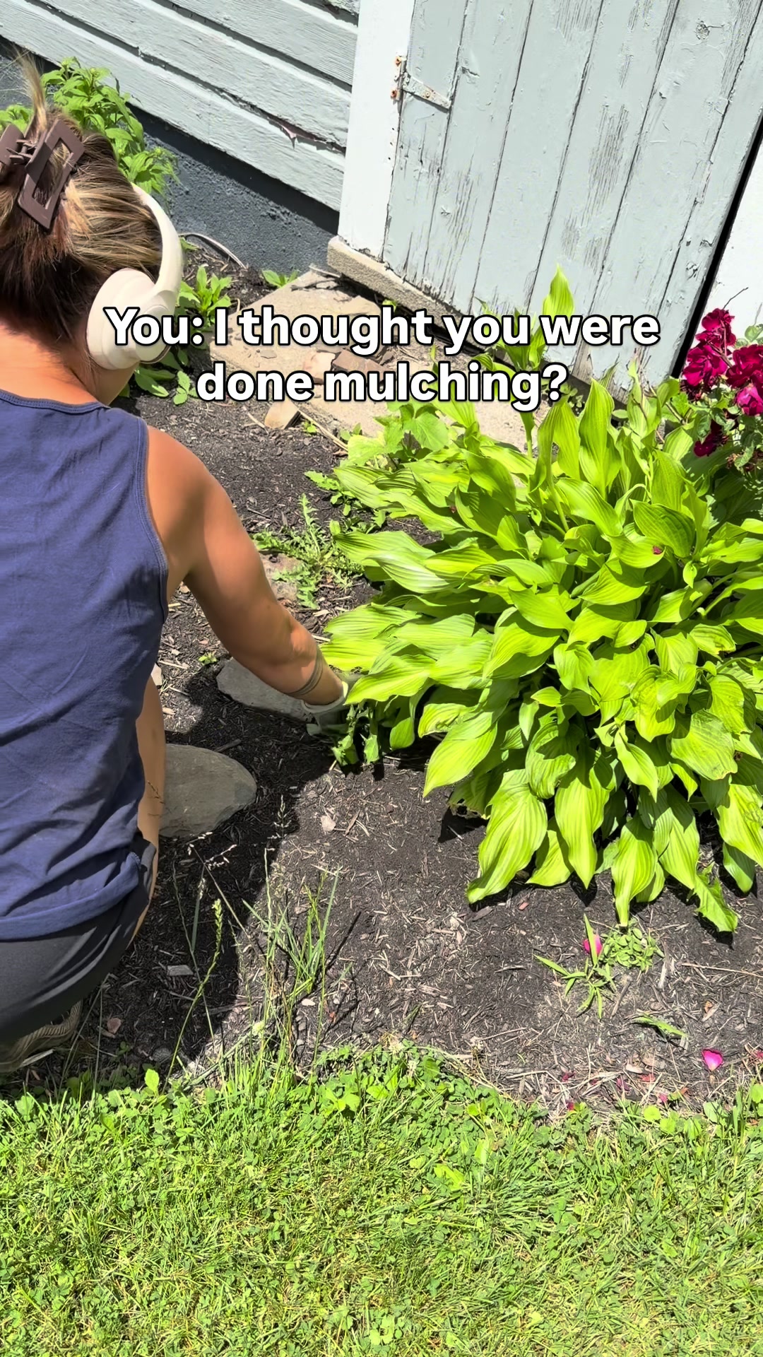 @NICOLE