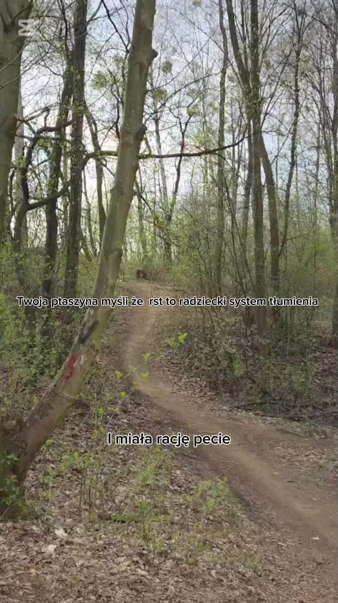 @Nolix.dirt