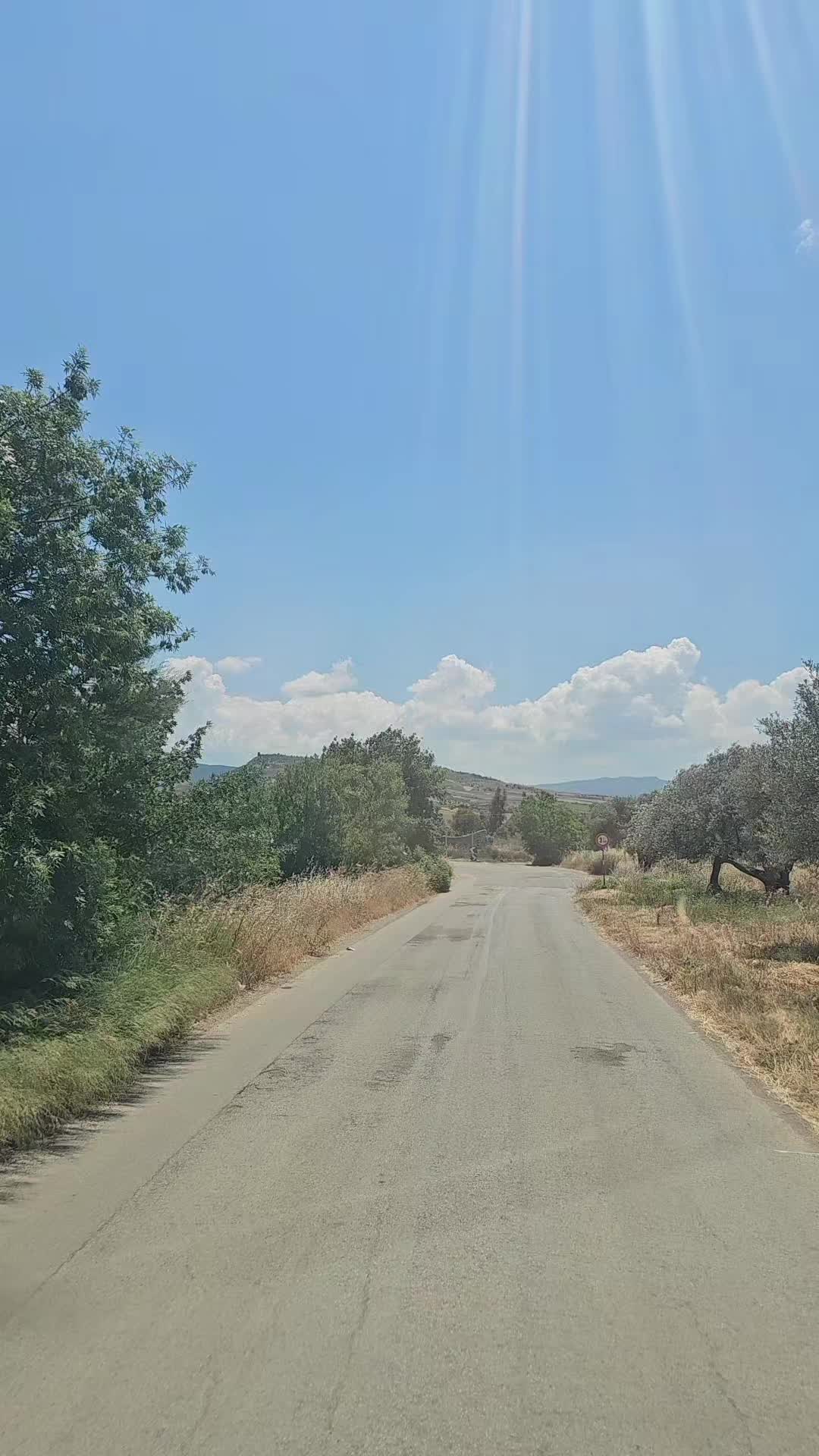 @Angelo Il Leone