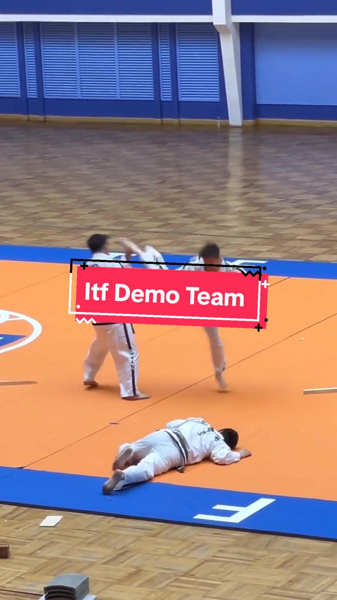 @Taekwondo Content Creator