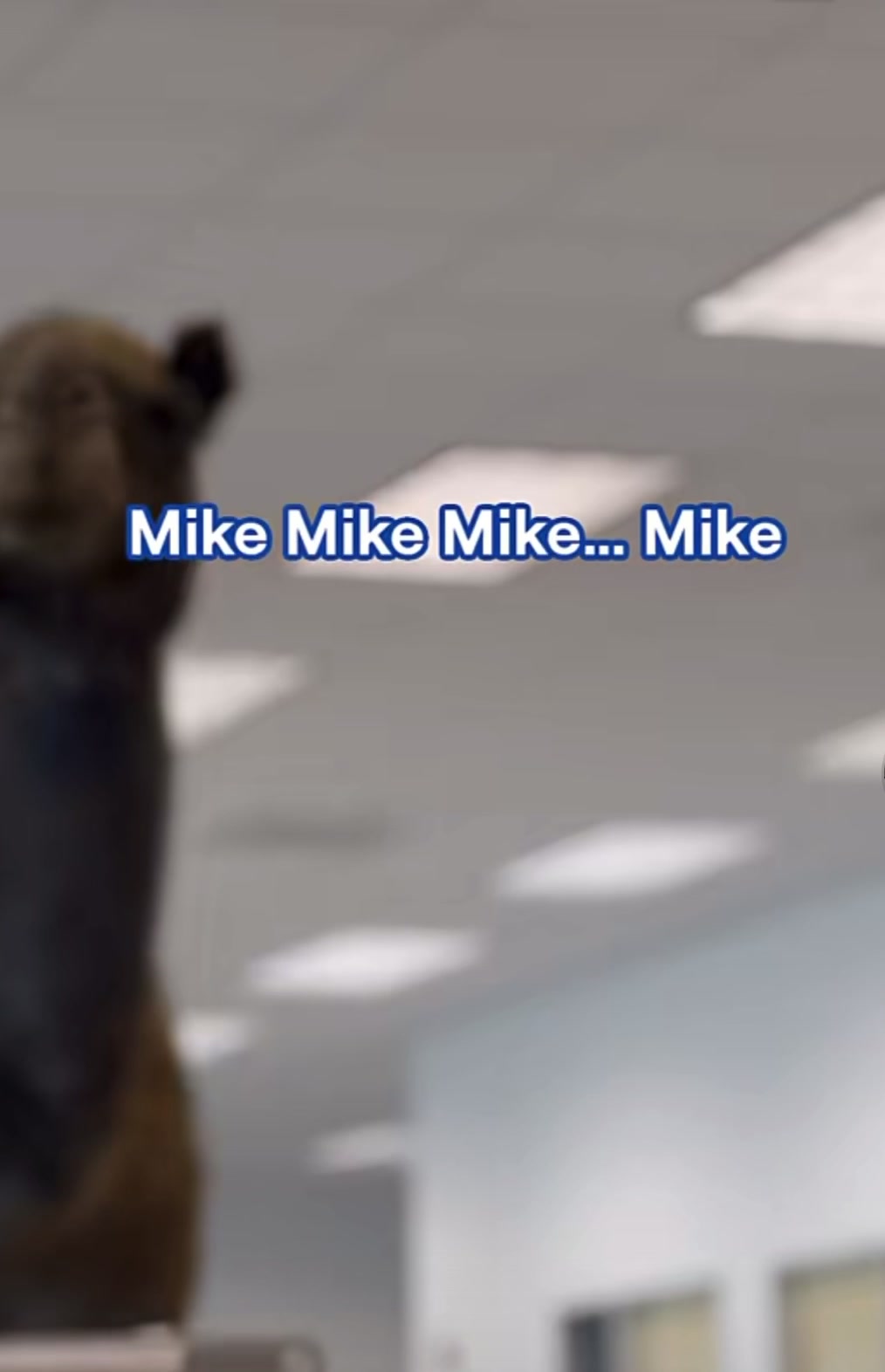 @niecywhat
