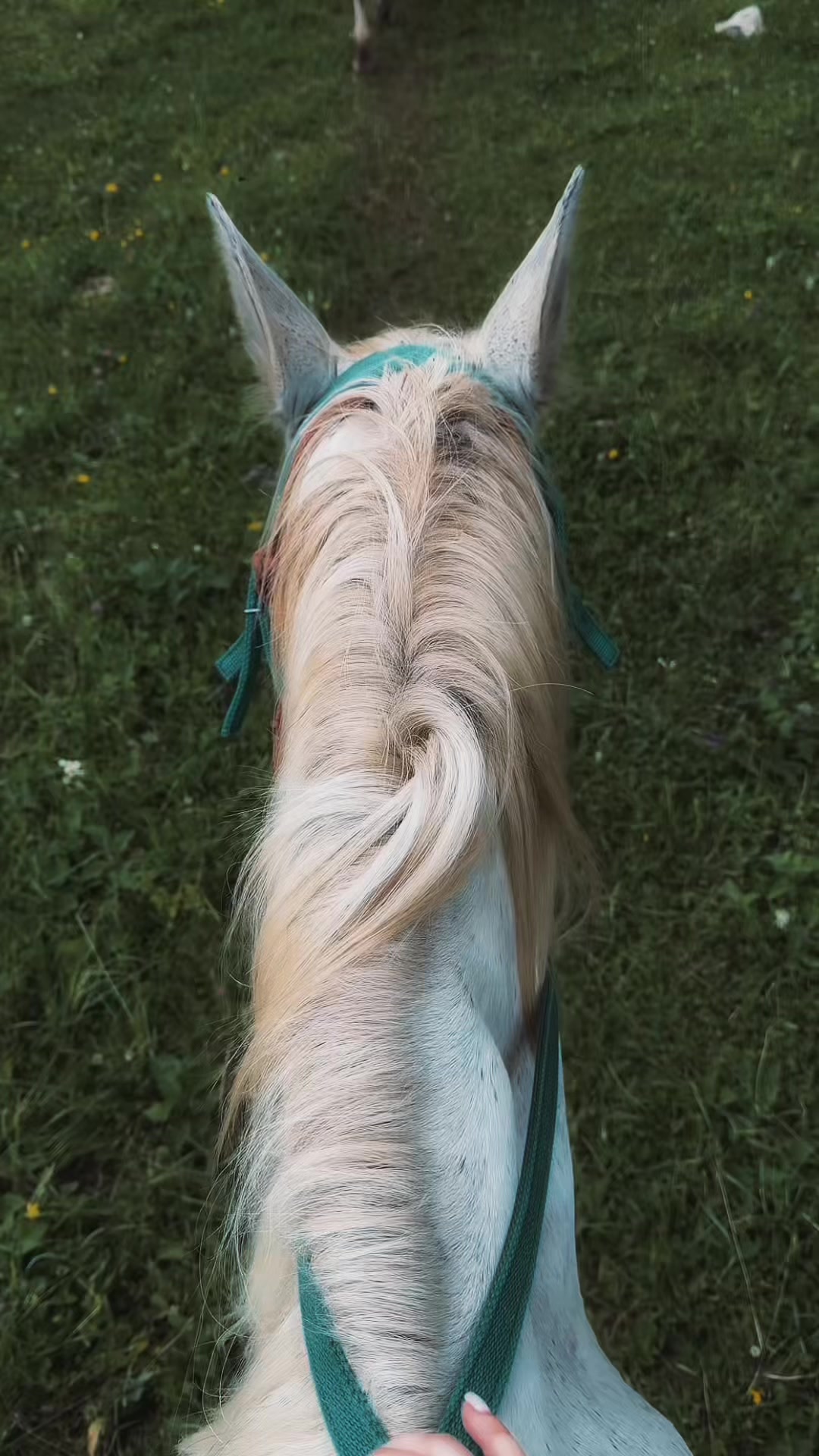 @тгк: samulay блог 🥷🏽
