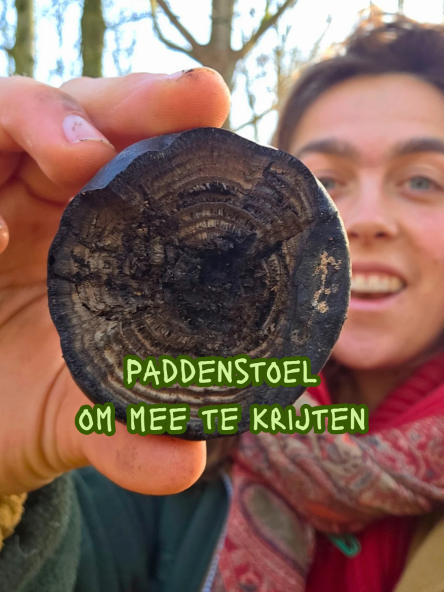 @Roos Konings
