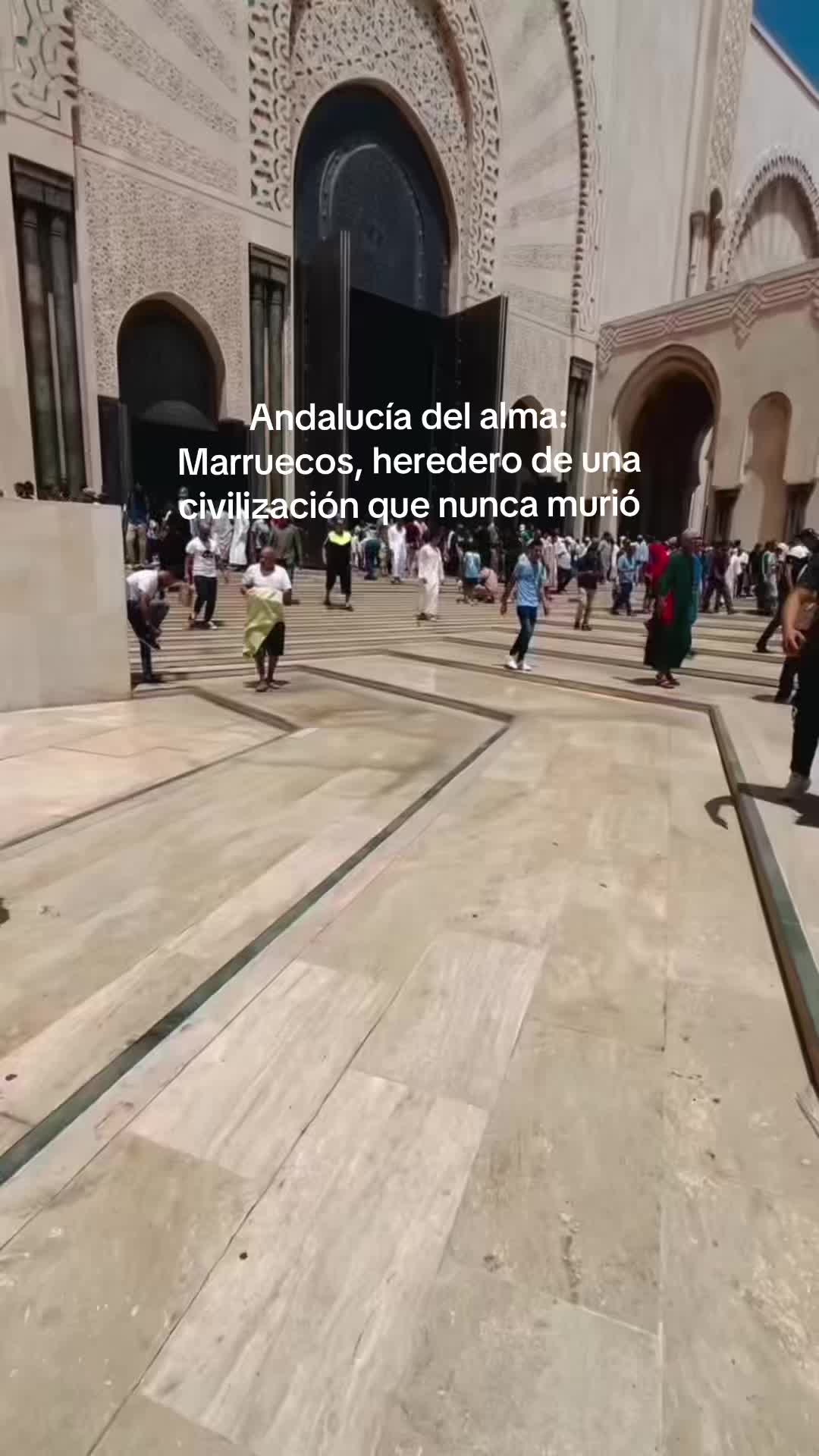 @Moorishaziz 🇲🇦🇺🇸🇨🇭🇨🇭