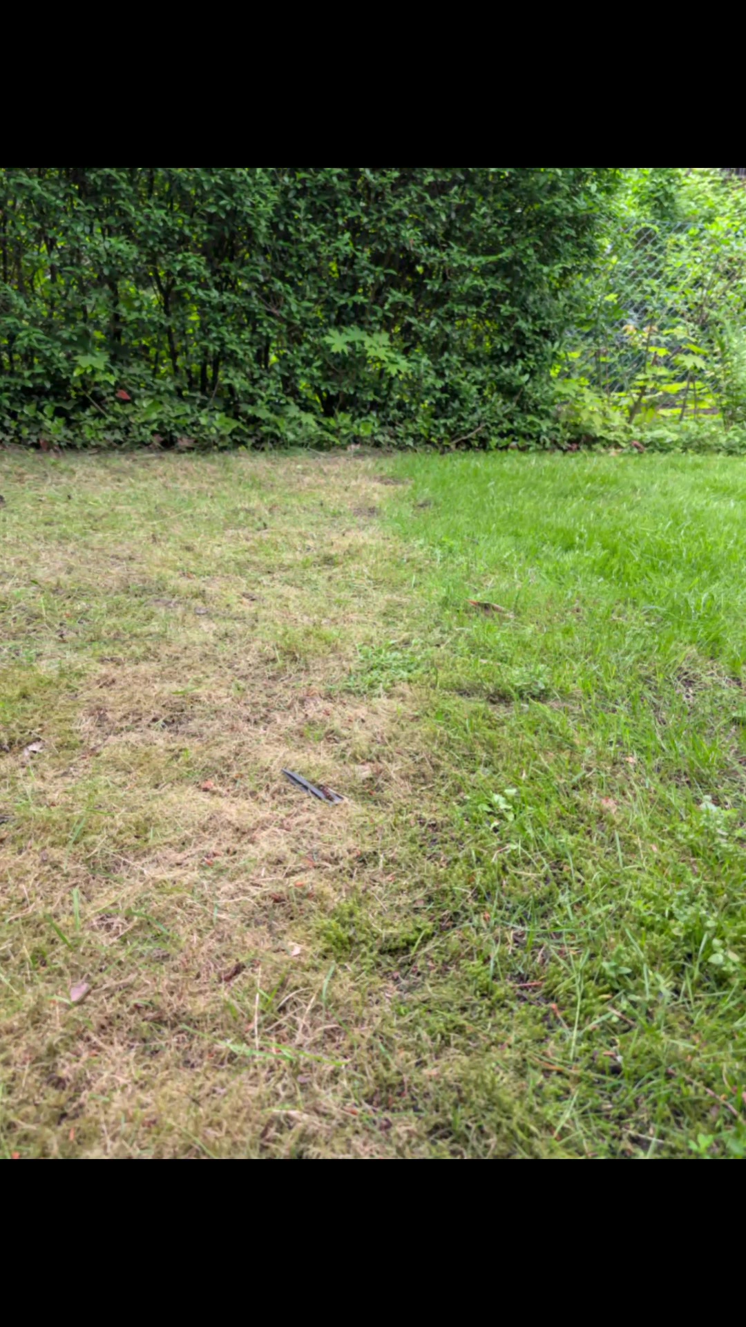 @Gartenbau Schiller