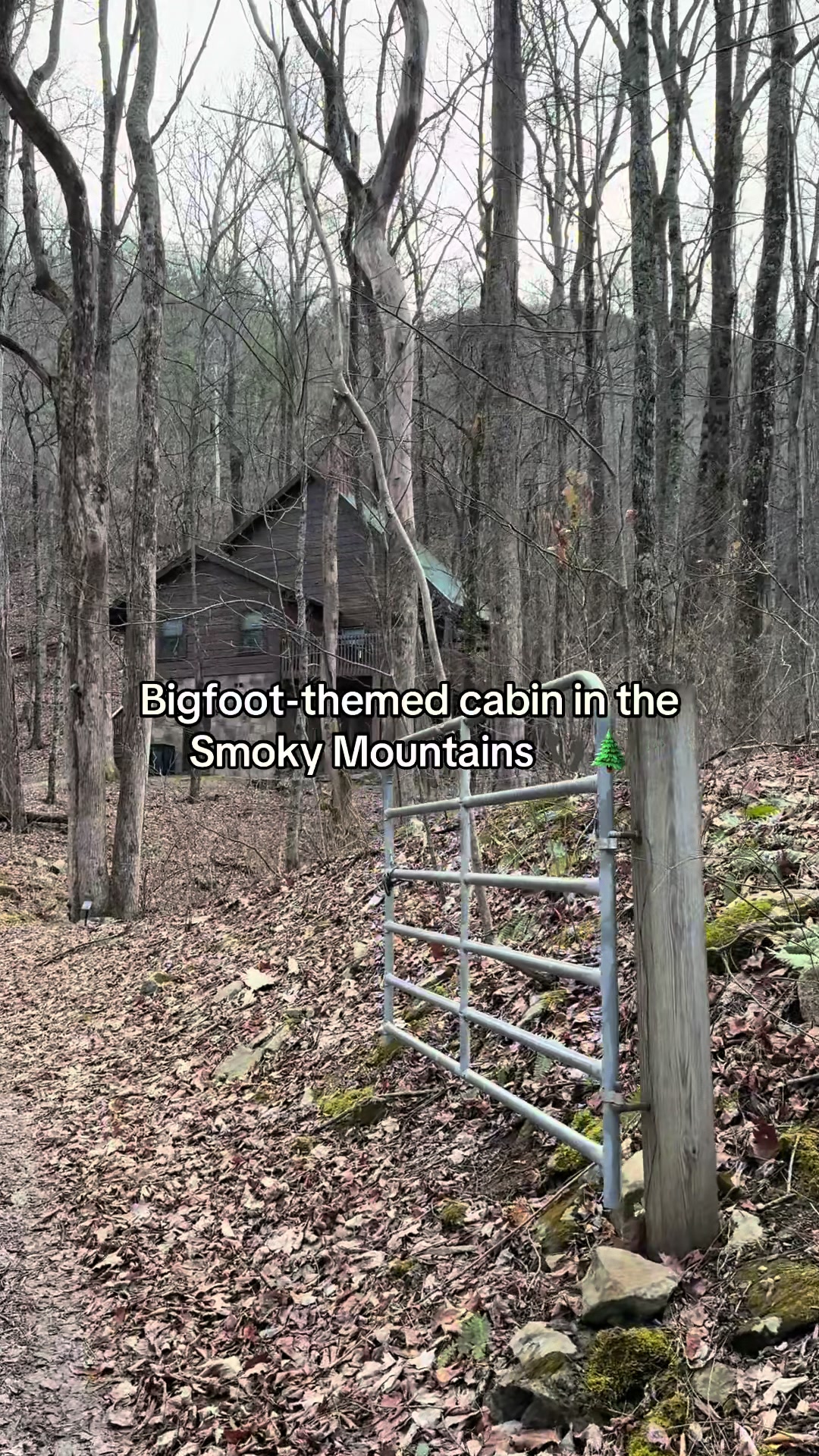 @SmokyMountainDreamVacation.com