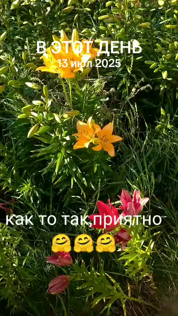 @Юрик