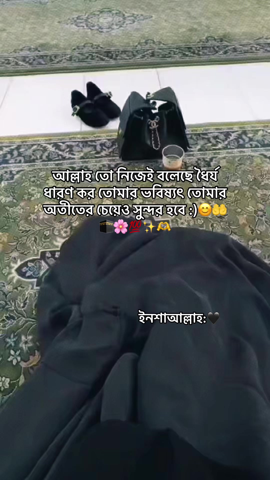 @đĻ S H I U L I đĻ