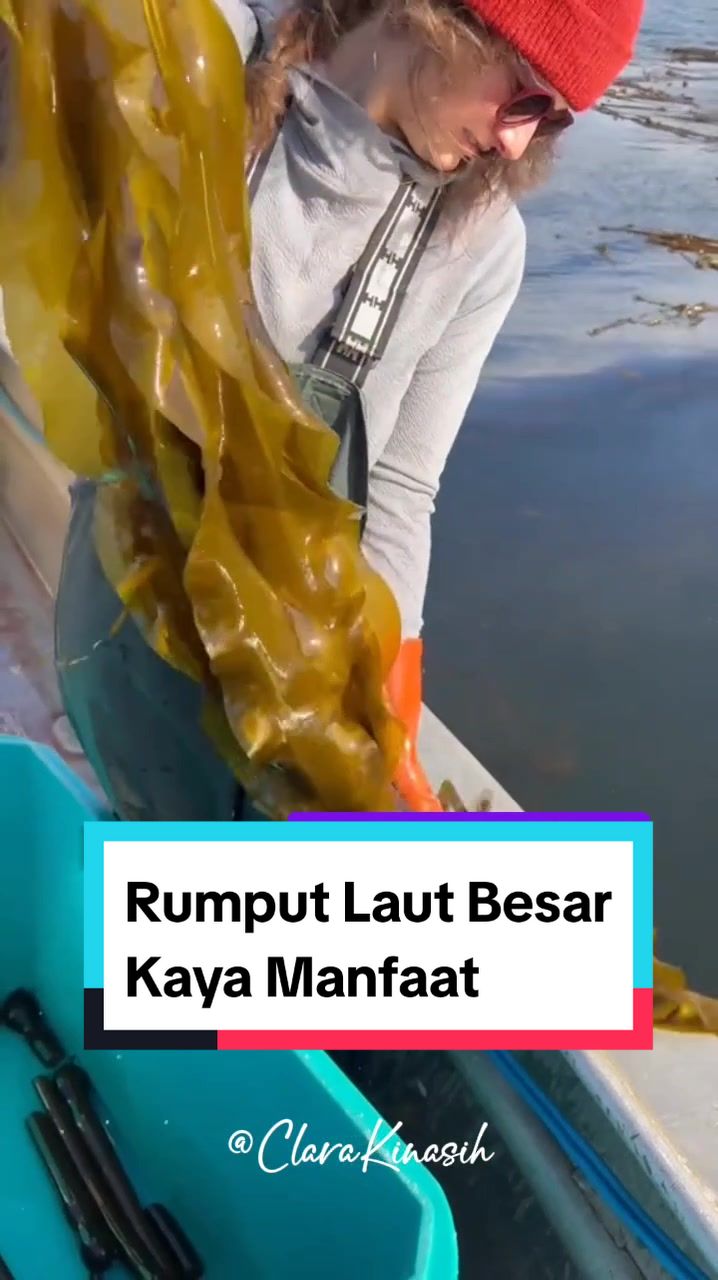 @Clara Kinasih AR
