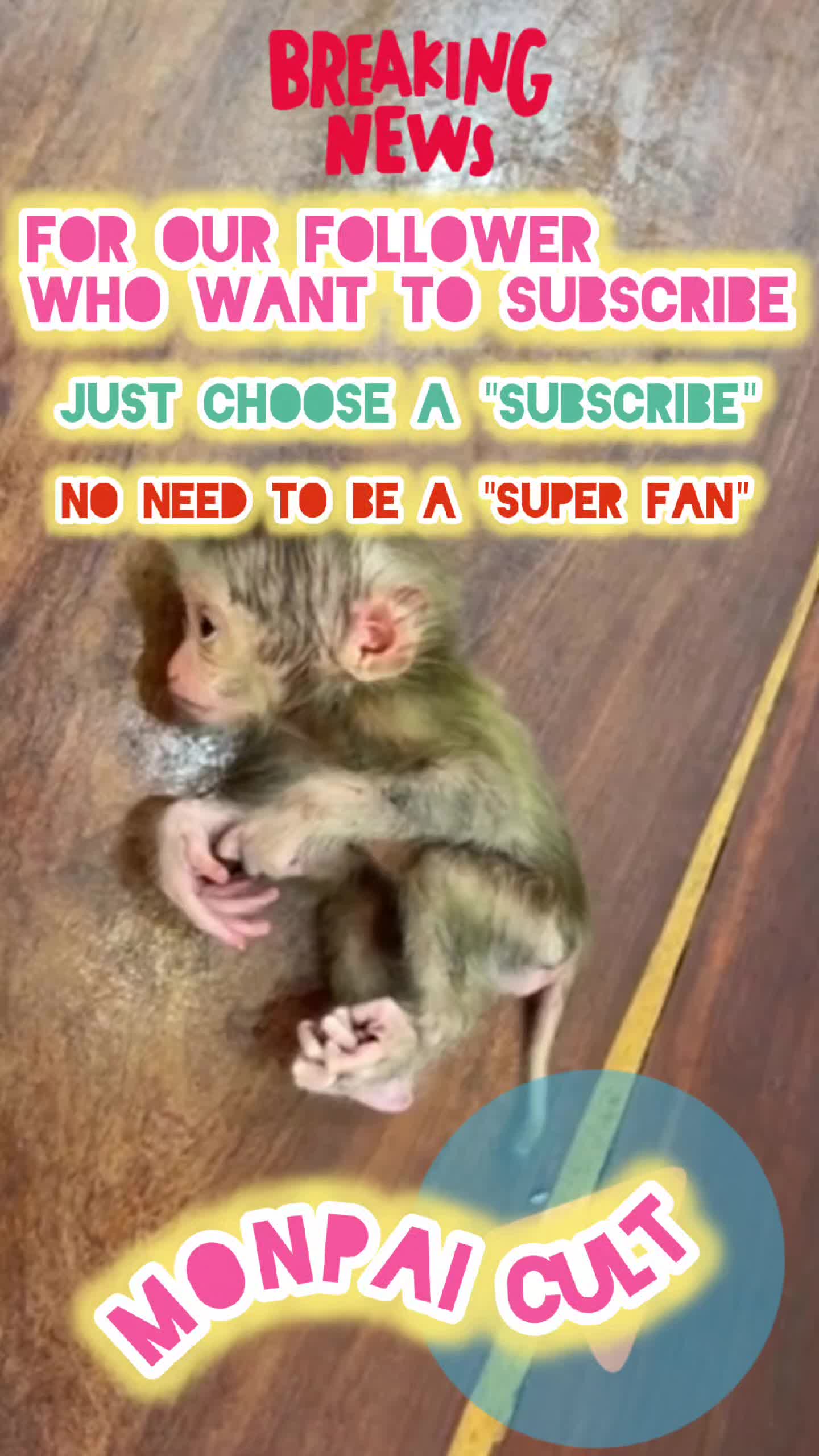 @Monpai Cult