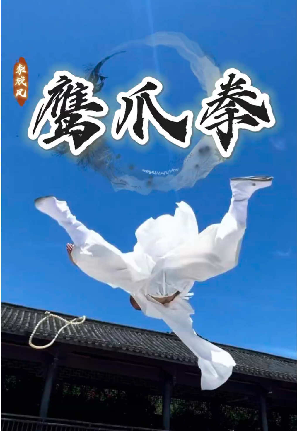 @ShaolinNextGen