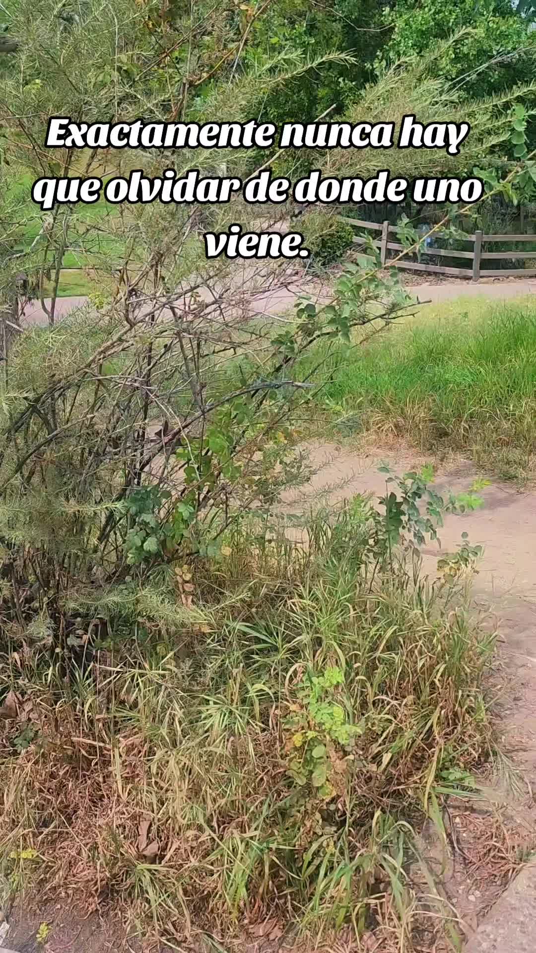 @Tebalopez13