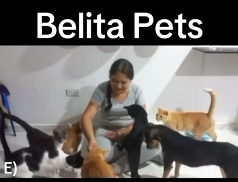 @BelitaPets