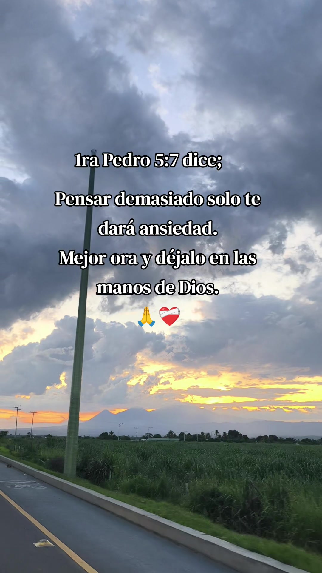 @Any✨️