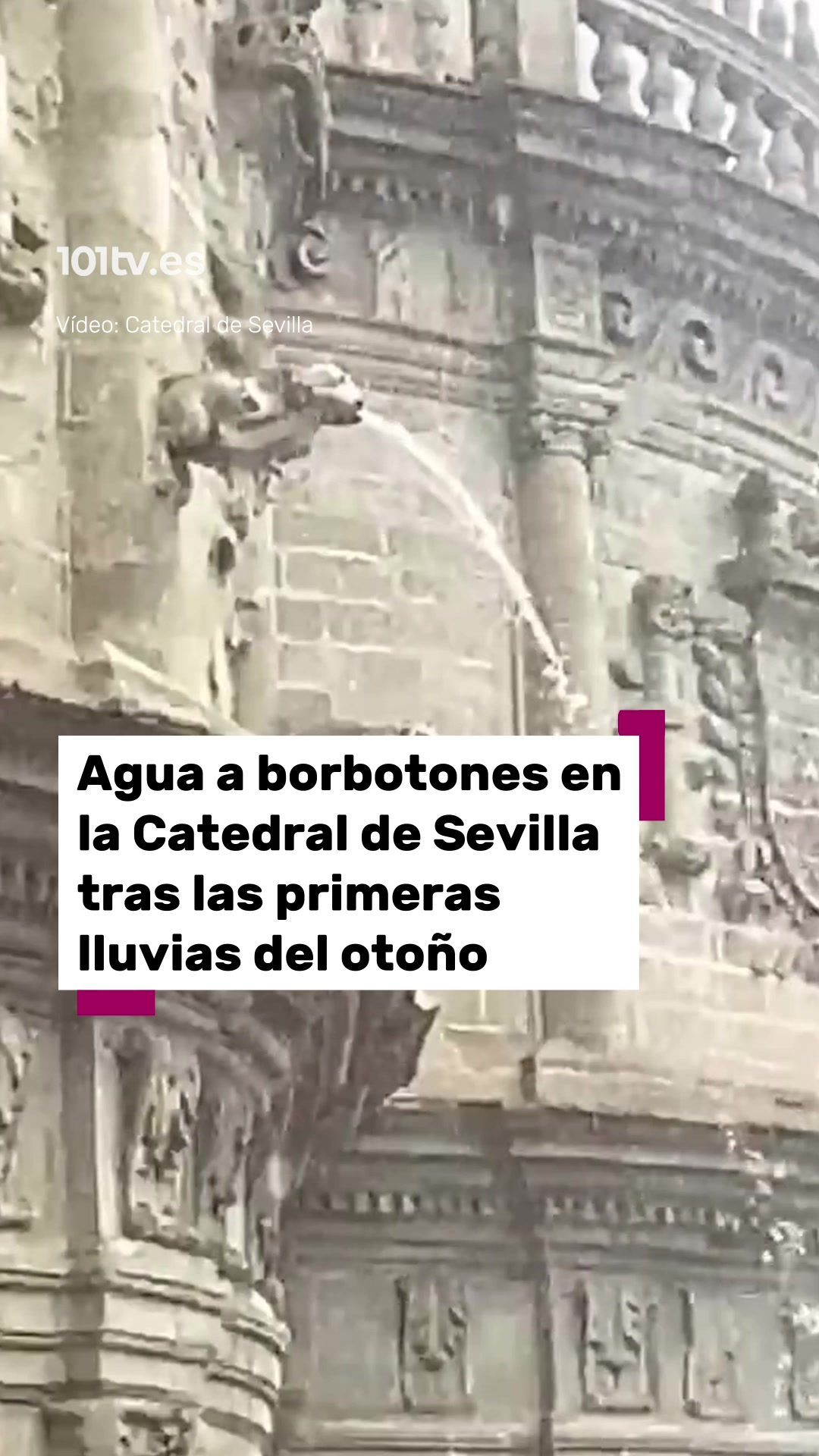 @101tv.es Sevilla
