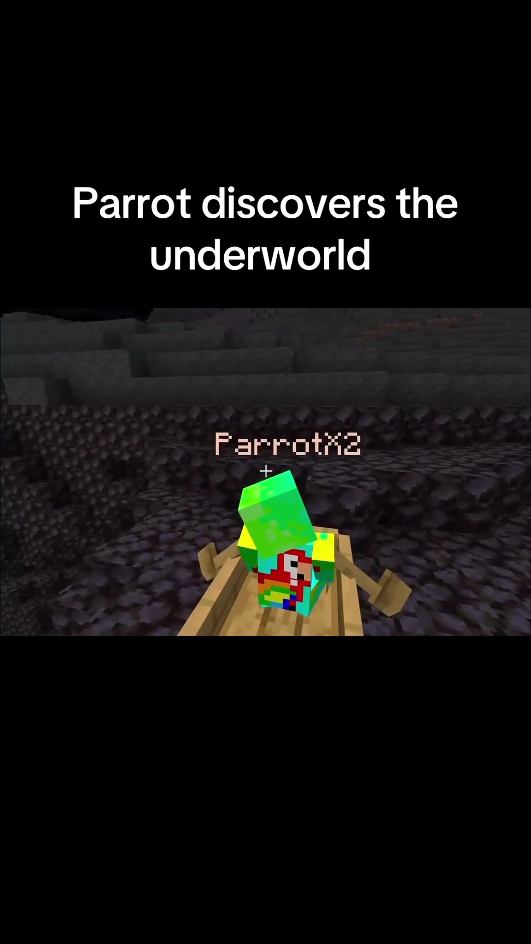 @yayc0b