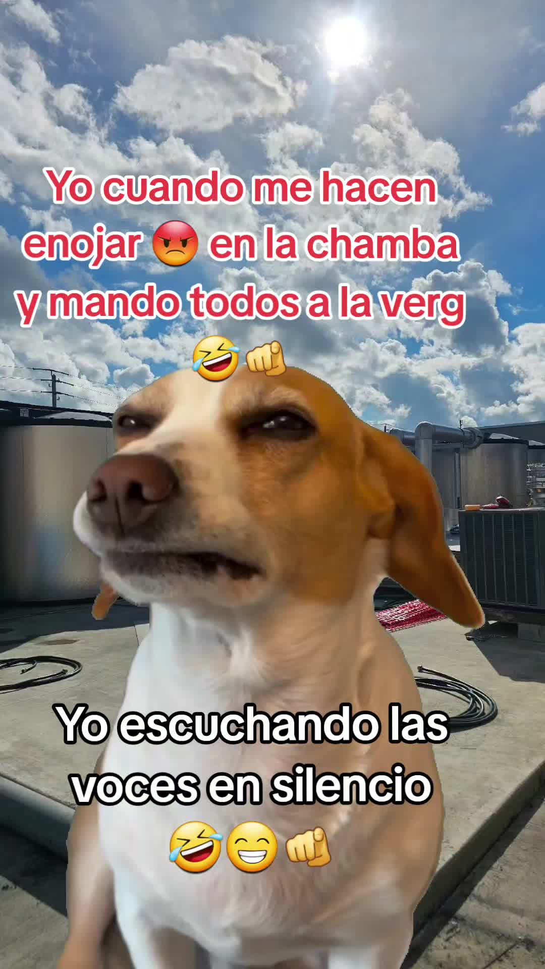 @Gabrielito 502