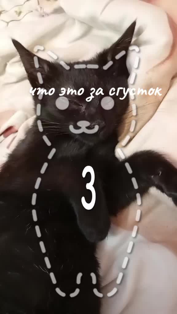 @(。>‿‿<。)