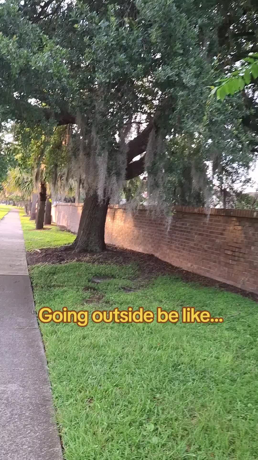 @Nicole