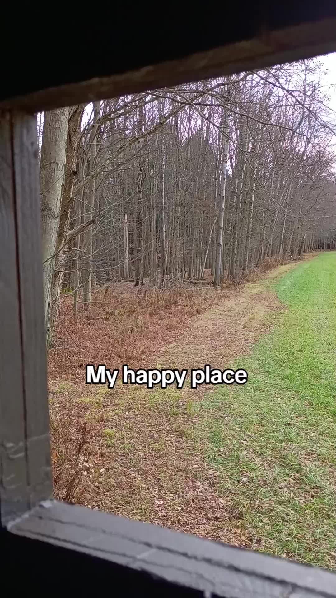 @Teresa🌻