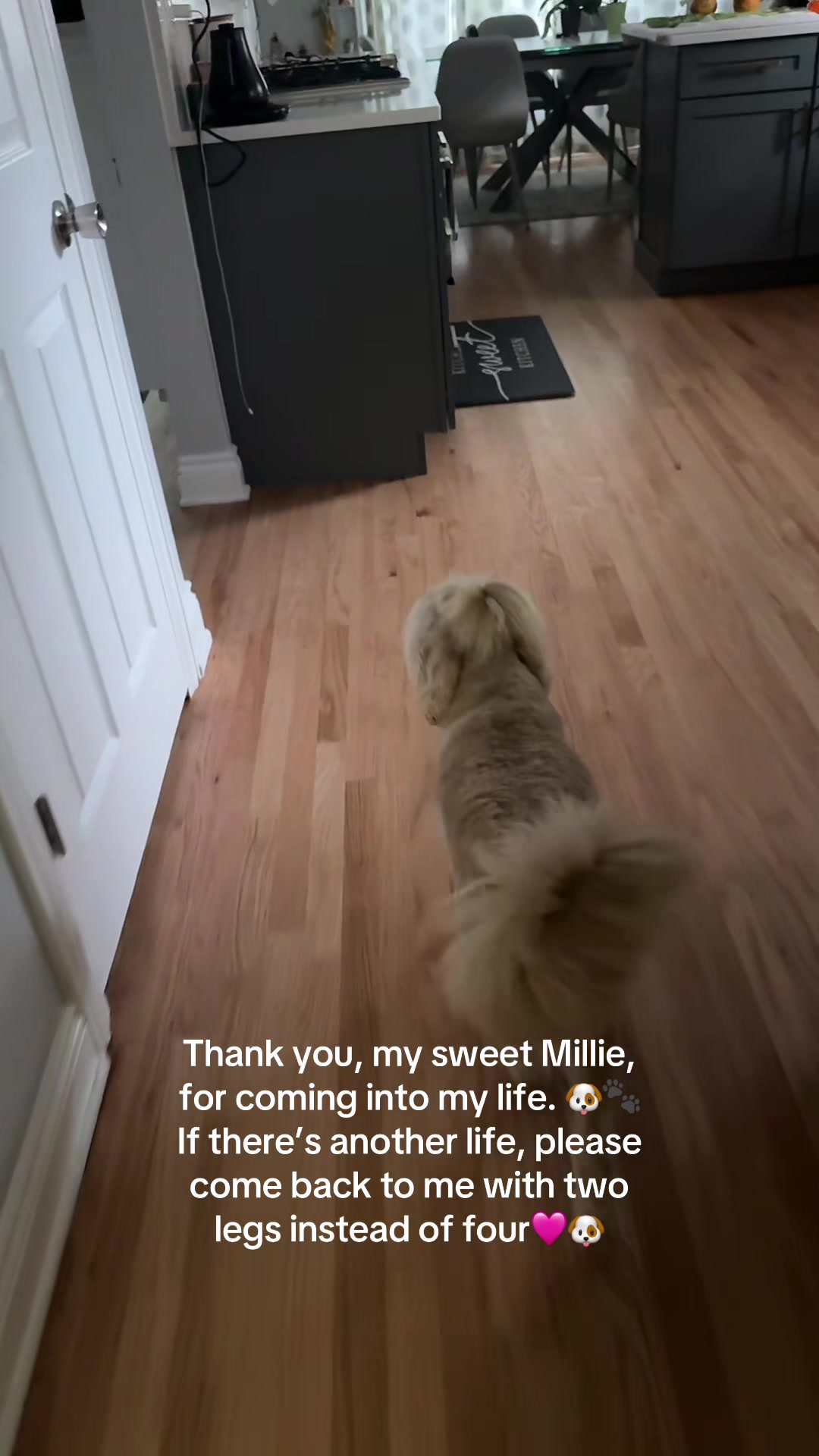 @Nikki