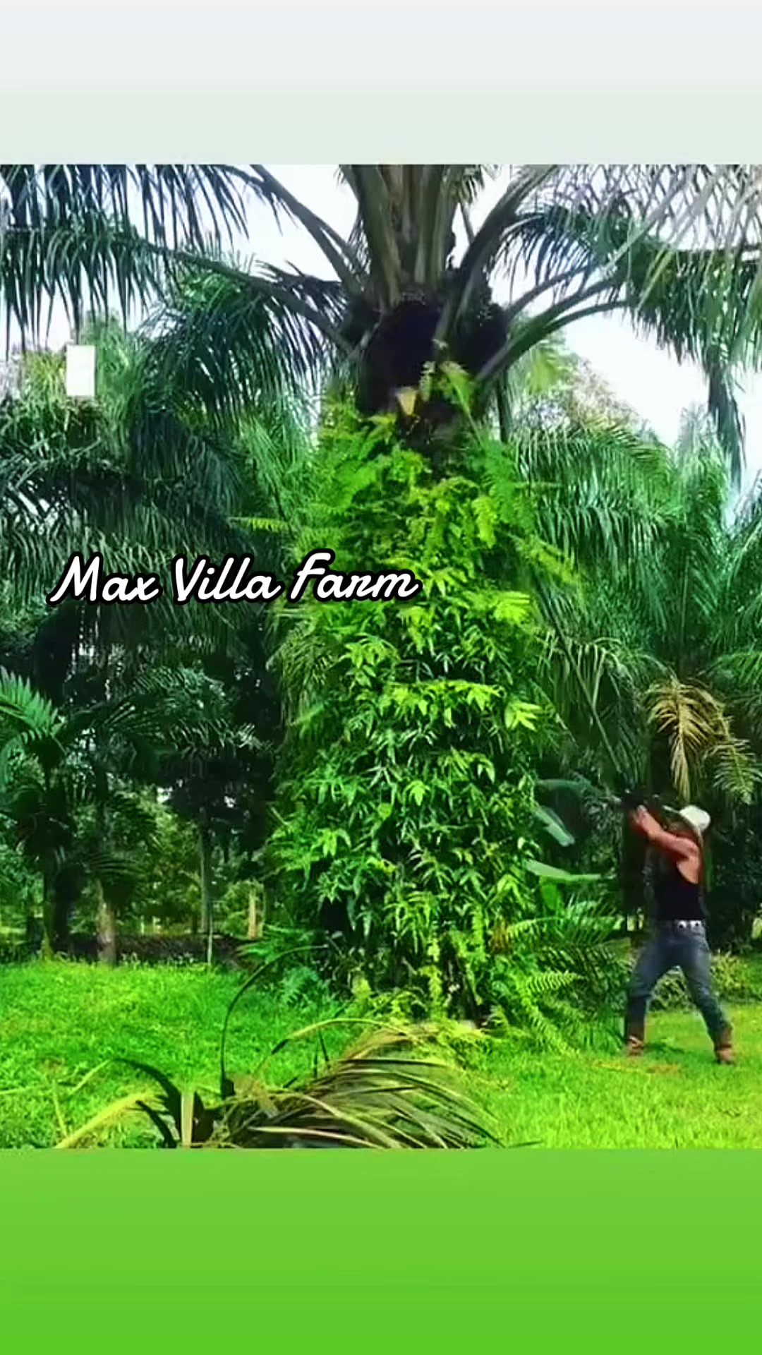 @Max Villa