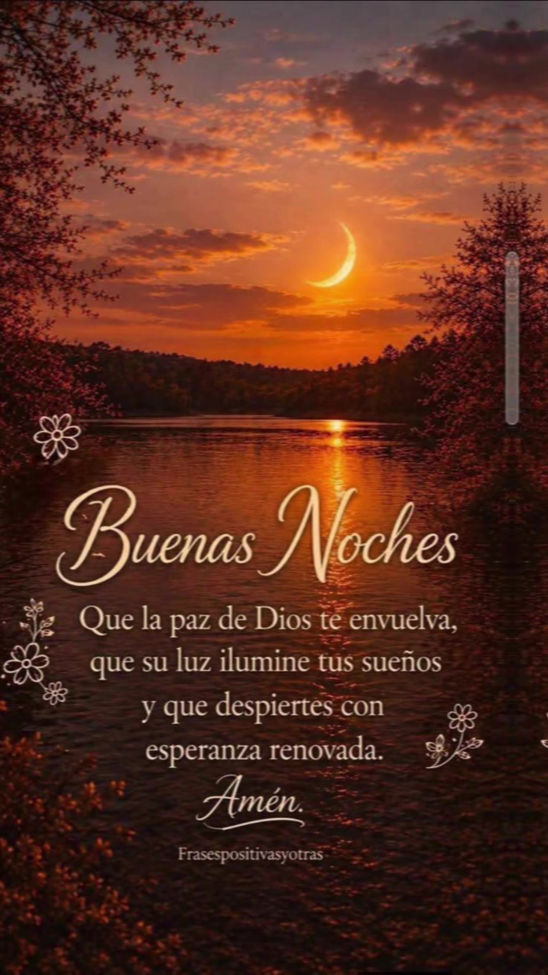 @elvirasvg