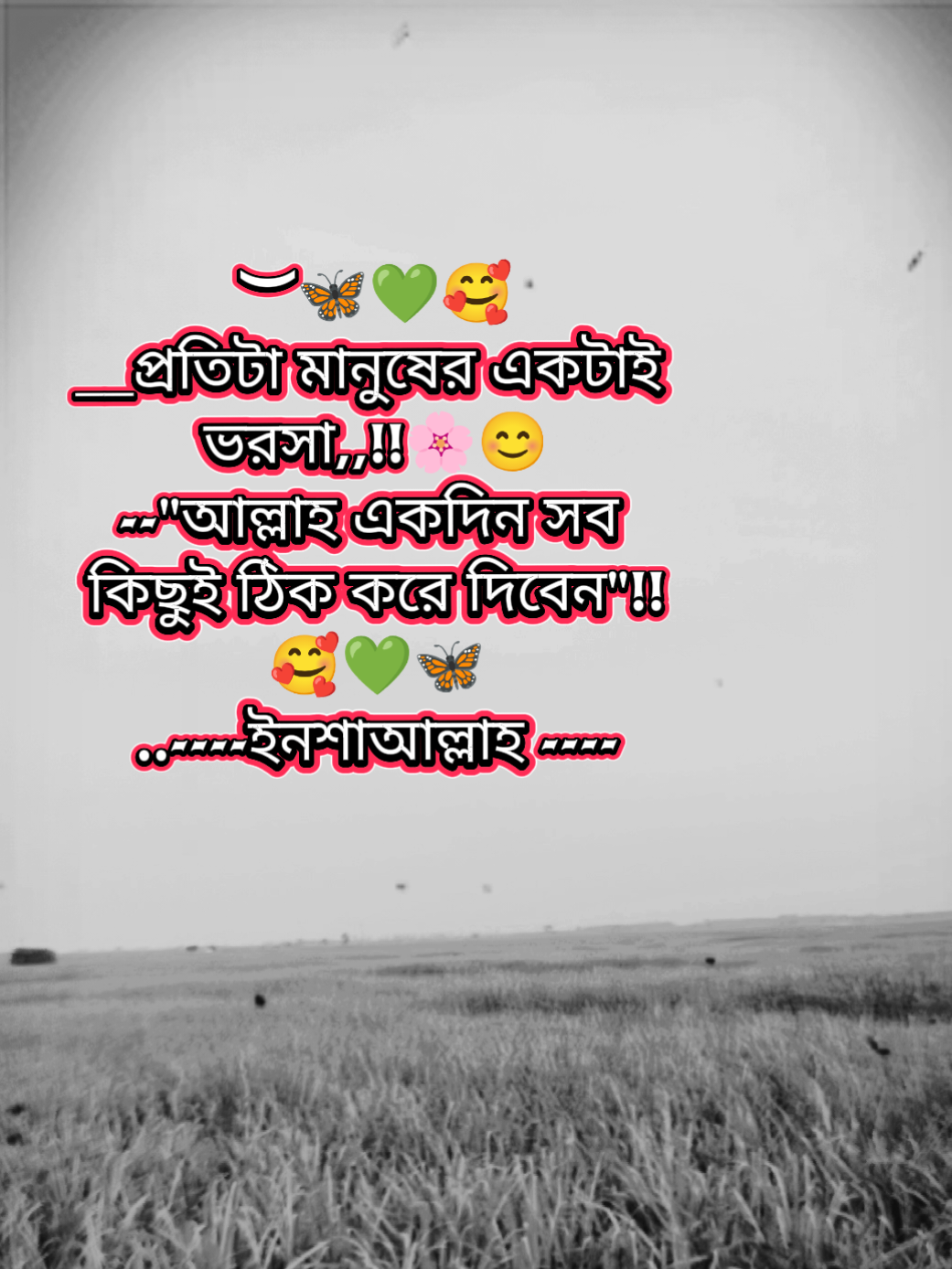 @Md Mostakim khan