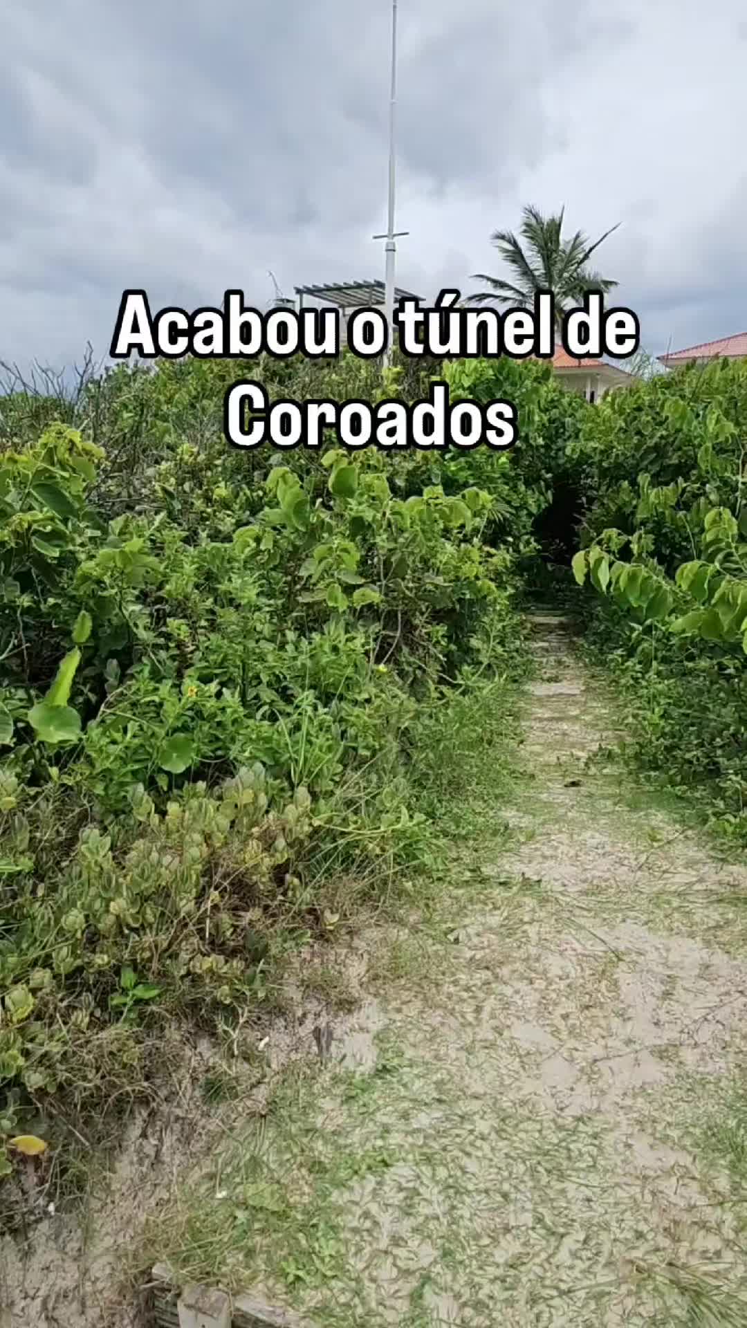 @coroadosebarradosai